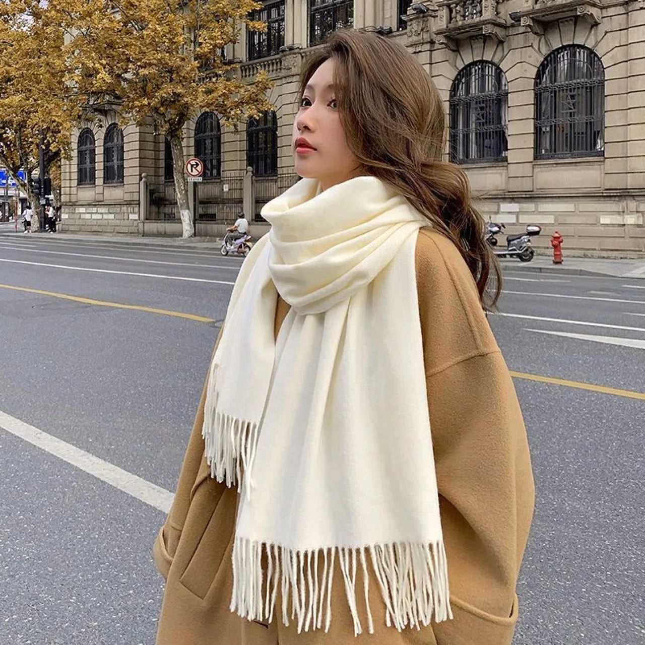 Chic Warm Wool Scarf